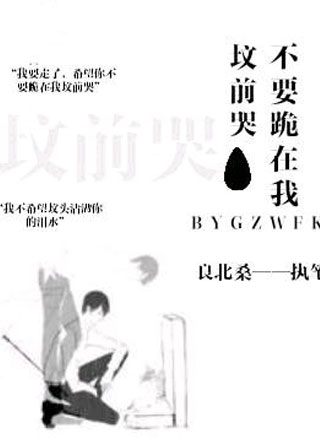 不要跪在我坟前哭小说