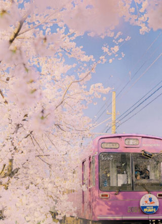 奈何年下太撩人小说