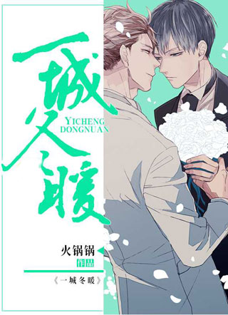 一城冬暖小说