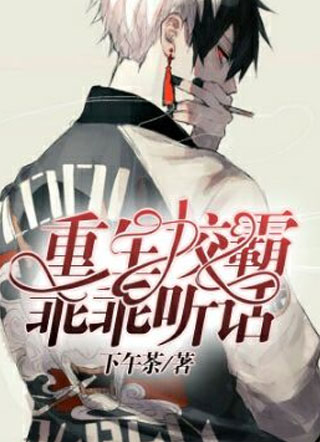 【重生】校霸，乖乖听话小说