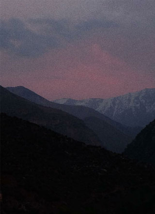 亲爱的陈九小说