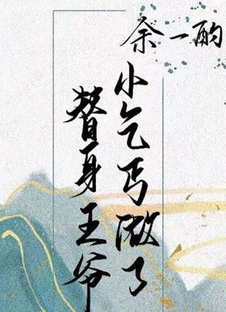 小乞丐做了替身王爷小说