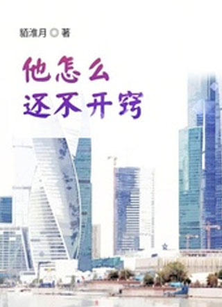 他怎么还不开窍小说