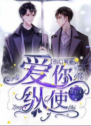 爱你纵使伤痕累累小说