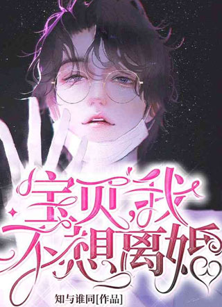 宝贝，我不想离婚小说