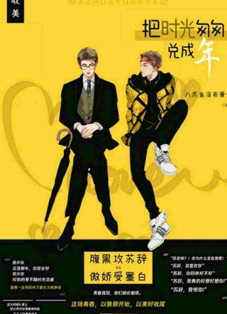 把时光匆匆兑成年小说