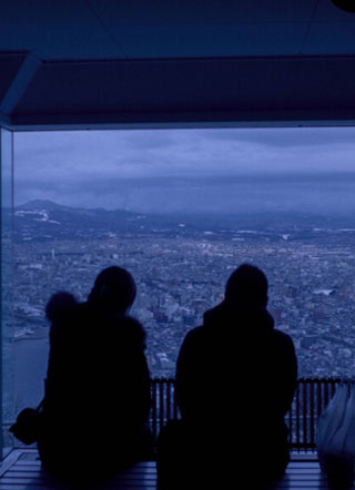 我凭什么要亲你小说