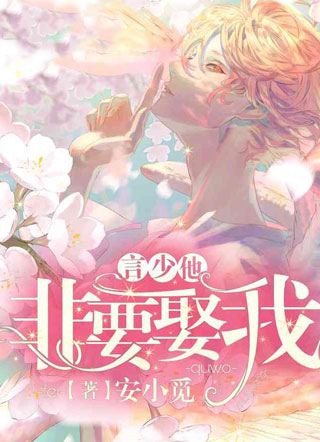 言少他非要娶我小说