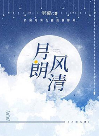 月朗风清小说