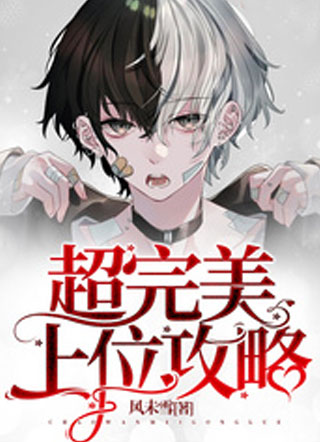 超完美上位攻略小说