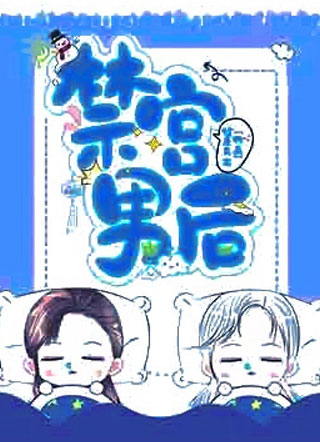 禁宫男后小说