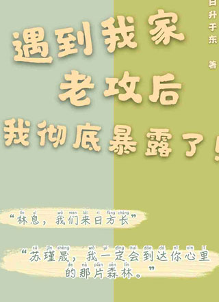 遇到我家老攻后我彻底暴露了小说