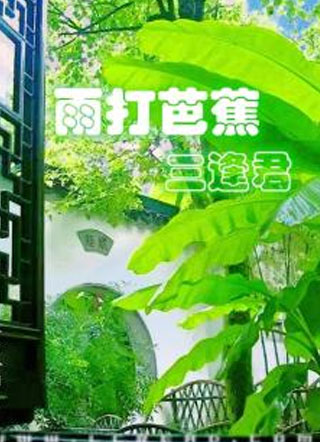 雨打芭蕉三逢君小说