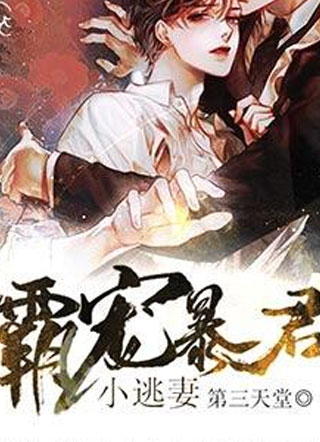 霸宠暴君小逃妻小说