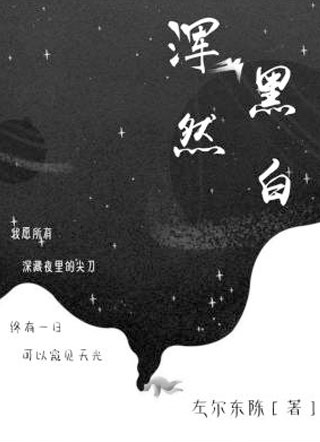 浑然黑白小说