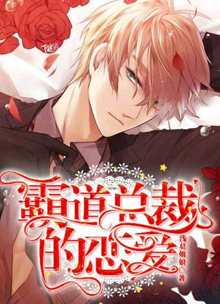 霸道总裁的恋爱小说