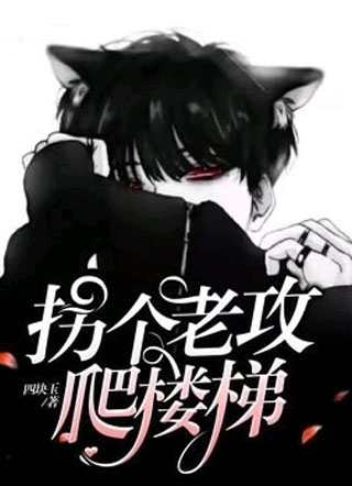 拐个老攻爬楼梯小说