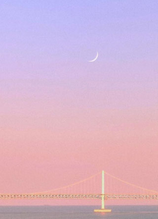 论校霸的基本修养小说