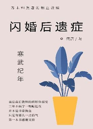 闪婚后遗症小说