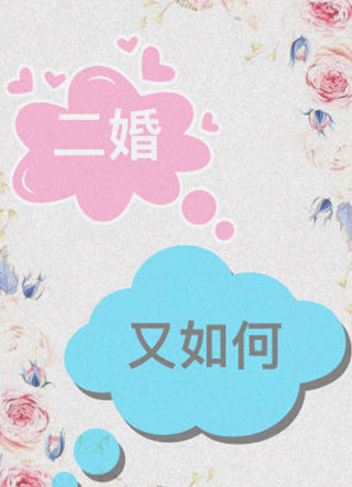 二婚又如何小说