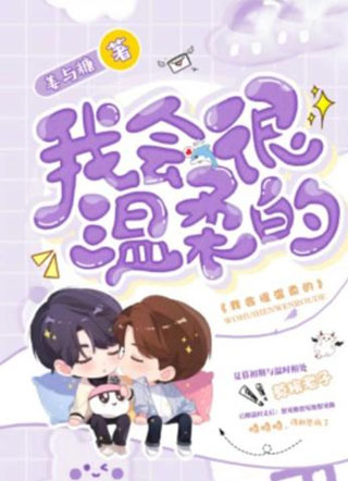我会很温柔的小说