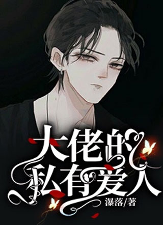 大佬的私有爱人小说