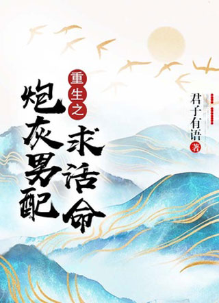 重生之炮灰男配求活命小说