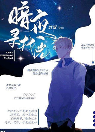 暗夜寻找光小说