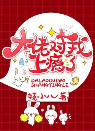 大佬对我上瘾了小说