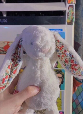 晏川的秘密小说