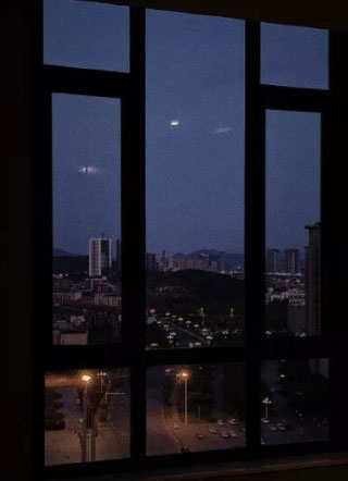 分手时没带走养过的猫小说