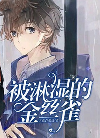 被淋湿的金丝雀小说