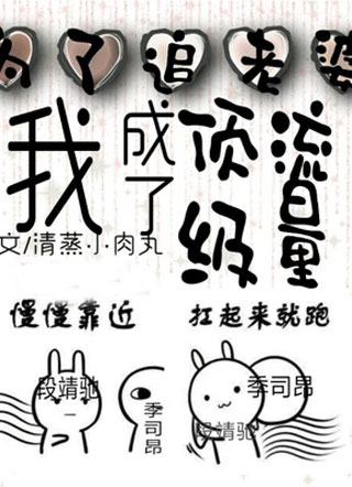 为了追老婆我成了顶级流量小说