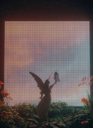 扒一扒顶流家某粉头的诸多马甲小说