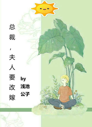 总裁夫人要改嫁小说