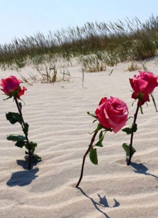 我在动物园当蛇妖小说