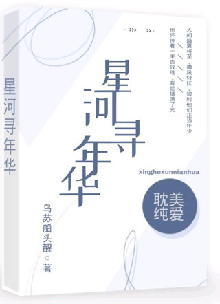 星河寻年华小说