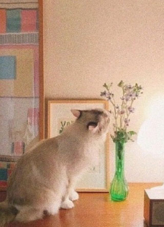 听说渣攻痛改前非成了受小说