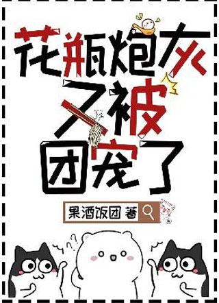 花瓶炮灰又被团宠了小说小说