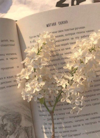 每天都在和影帝飙戏小说小说