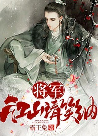 将军，江山请笑纳小说