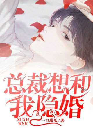 总裁想和我隐婚小说