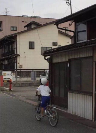 成为帝国总统的专属小甜心后小说