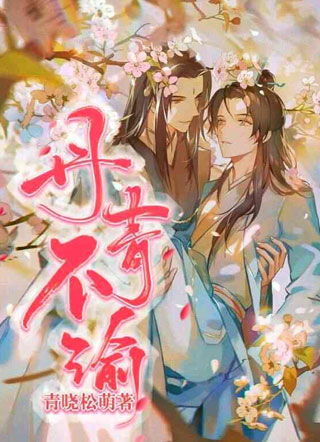丹青不渝小说