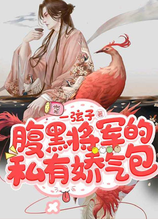 腹黑将军的私有娇气包小说