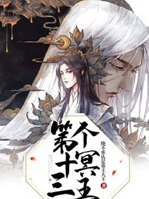 第十三个冥王小说