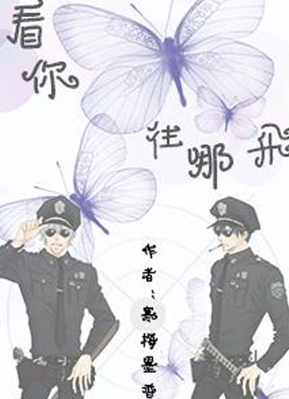 看你往哪飞小说