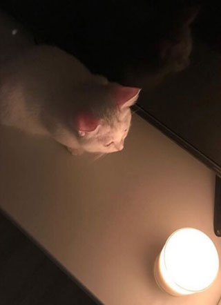 霸佬被班长弄哭了小说