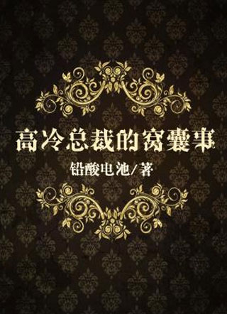 高冷总裁的窝囊事小说