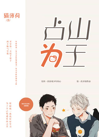 占山为王小说小说